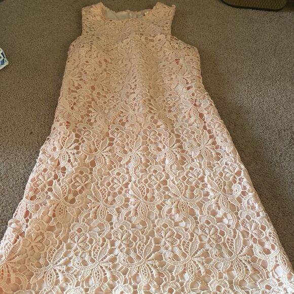 Love…ady pink shift dress M - Picture 3 of 6